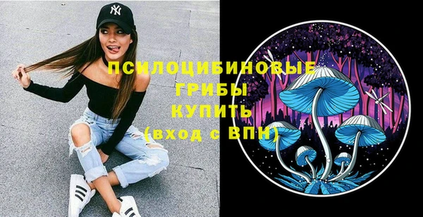 индика Алексеевка