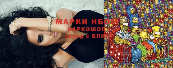 индика Алексеевка