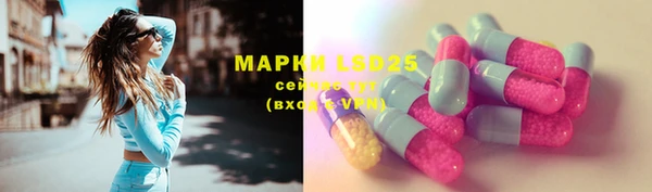индика Алексеевка