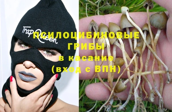 индика Алексеевка
