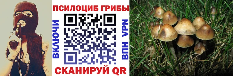 хочу наркоту  Мураши  Галлюциногенные грибы прущие грибы 