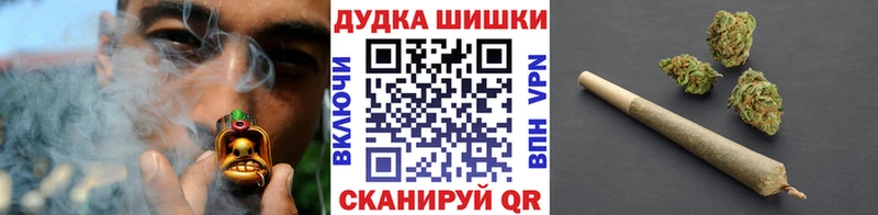Шишки марихуана план  Мураши 